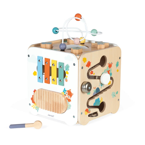 Pure Large Multi Actiivity Cube - Janod