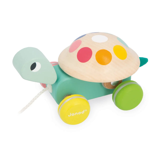 Zigolos Pull Along Turtle- Janod