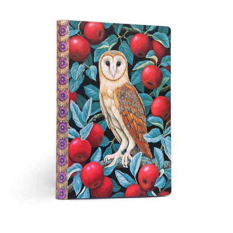 Journal: Barn Owl - Ages 6+