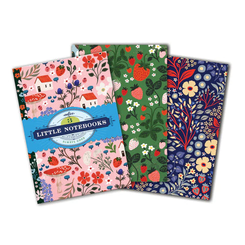 3 Little Notebooks: Shelley's Little Book Set - Ages 6+