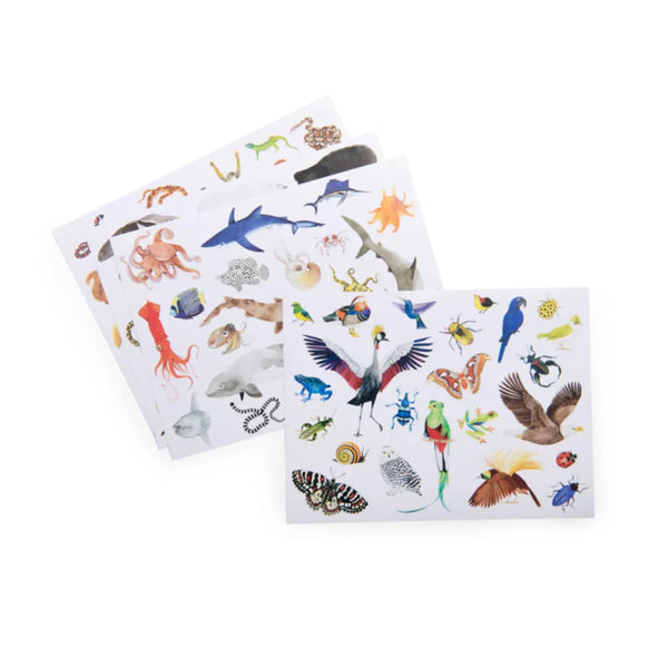 Moulin Roty Around The World Animal Stickers