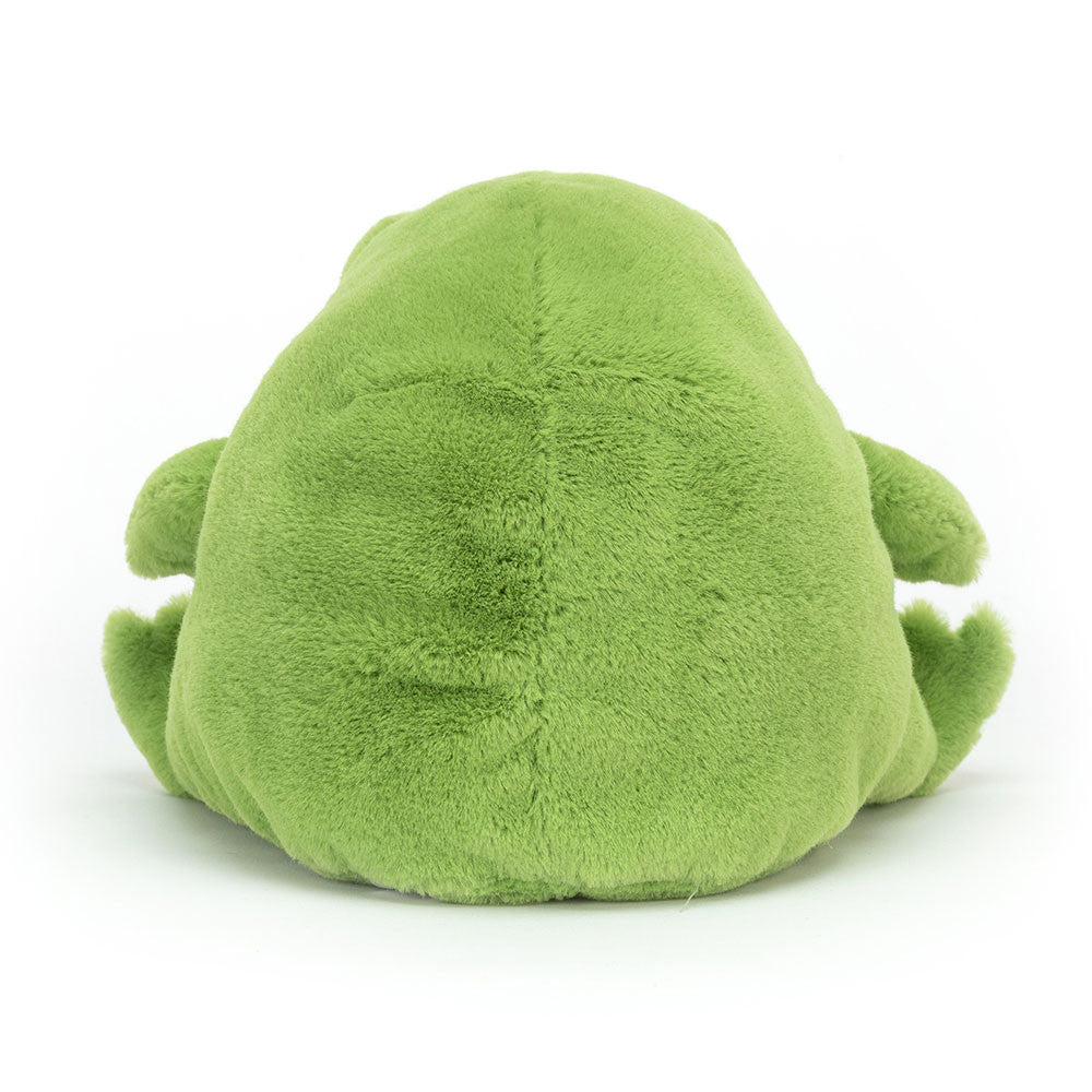 Jellycat Ricky Rain Frog Plush Toy – Playful Minds