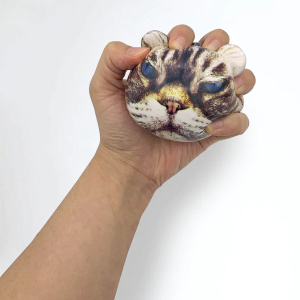 KL: Feline Fine! Stress Balls - Ages 3+