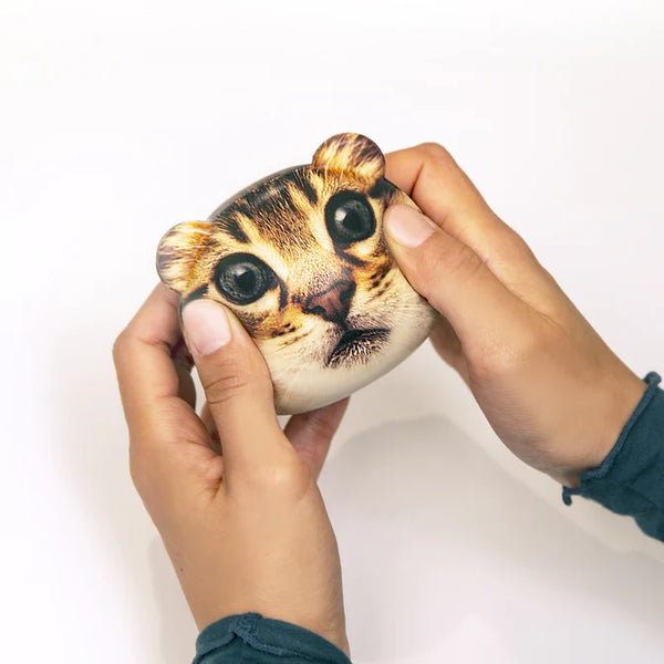 KL: Feline Fine! Stress Balls - Ages 3+
