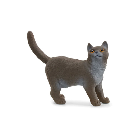Schleich: British Shorthair Cat- Ages 3+