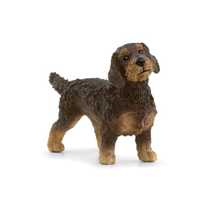 Schleich: Wire-Haired Dachshund - Ages 3+