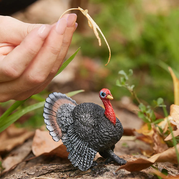 Schleich: Turkey - Ages 3+