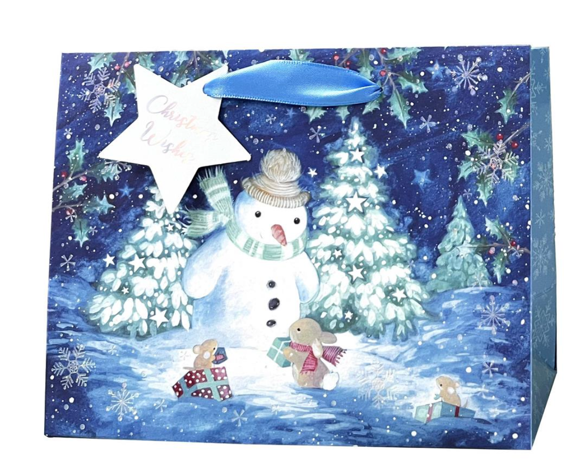 Gift Bag: Paper Trendz Large Extra Wide Xmas Winter Scene