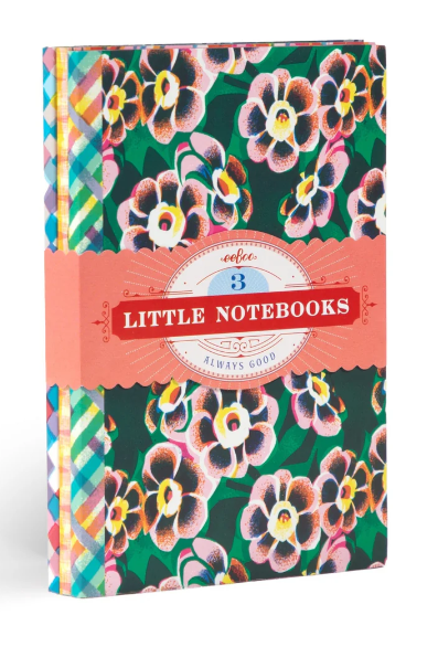 3 Little Notebooks: Astra's Little Book Set - Ages 6+