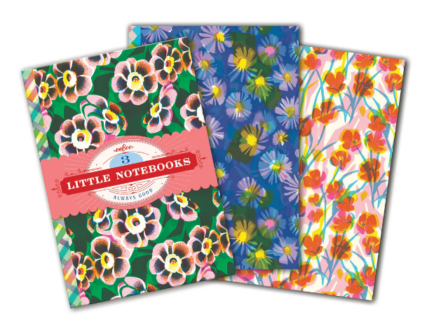 3 Little Notebooks: Astra's Little Book Set - Ages 6+