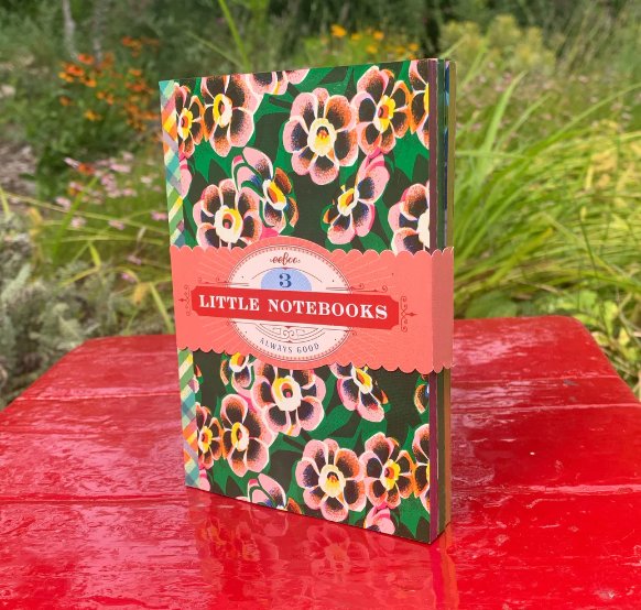 3 Little Notebooks: Astra's Little Book Set - Ages 6+