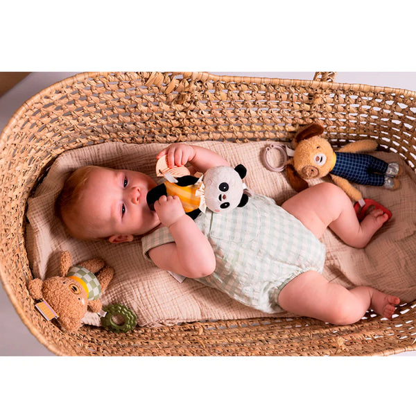 Taf Toys: Daniel Activity Toy - Ages 0mths+