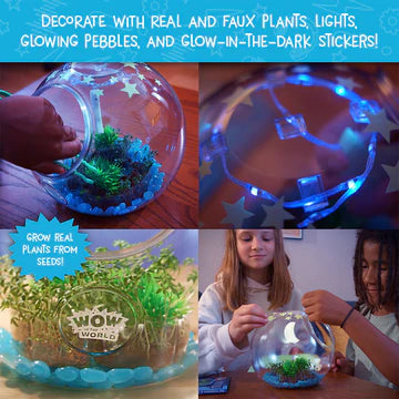 Wow in the World: Light-Up Terrarium - Ages 6+