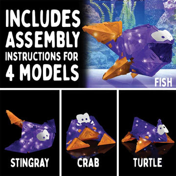 Creatto: Flashy Fish & Silly Swimmers - Ages 8+