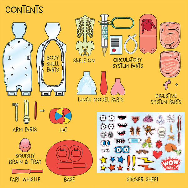 TK: The Amazing Human Body - Ages 4+