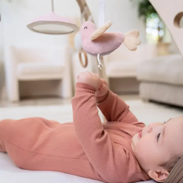 Aden + Anais: Ma Fleur Activity Gym - Age 0+