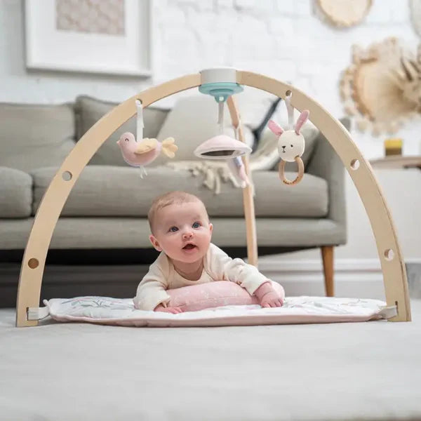Aden + Anais: Ma Fleur Activity Gym - Age 0+