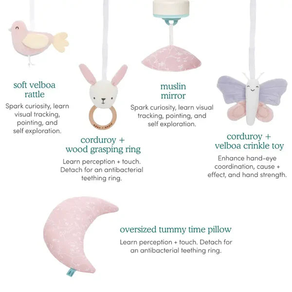 Aden + Anais: Ma Fleur Activity Gym - Age 0+