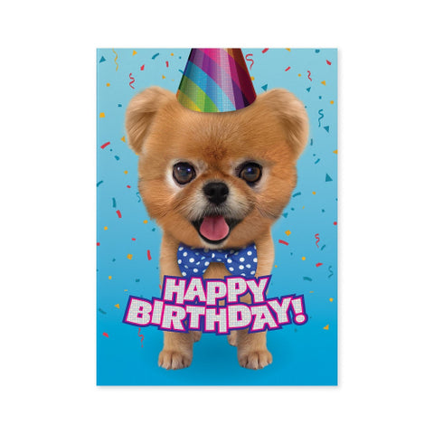 GC: Teddy Bear Pomeranian - Birthday Card