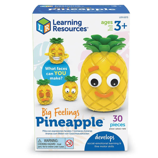 LR Big Feelings Pineapple
