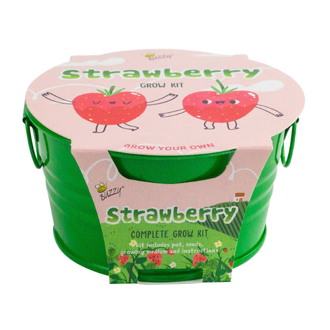 Kids Mini Painted Basin: Strawberry - Ages 6+