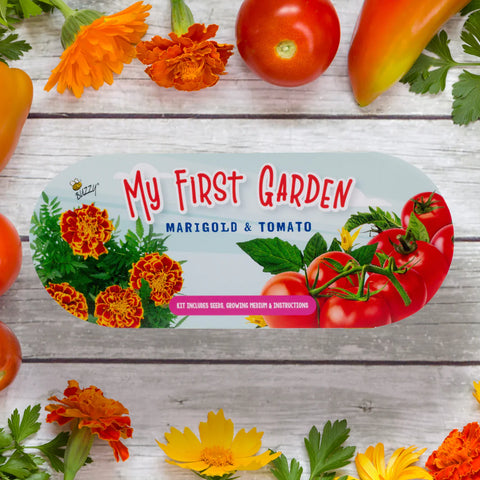 My First Garden Windowsill Grow Kit: Marigold & Tomato - Ages 6+