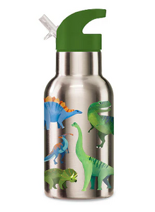 Stainless Steel Water Bottle: Dino World