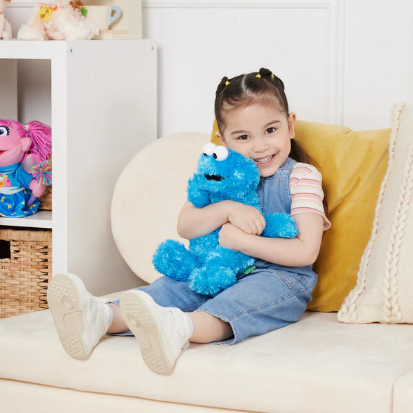 Sesame Street Cookie Monster 12" Plush Toy
