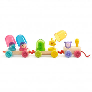 Djeco: Rainbow Train - Ages 18mths+