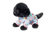 Douglas Black Lab with Holiday Pj's Medium