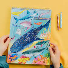 eeBoo Shark Sketchbook