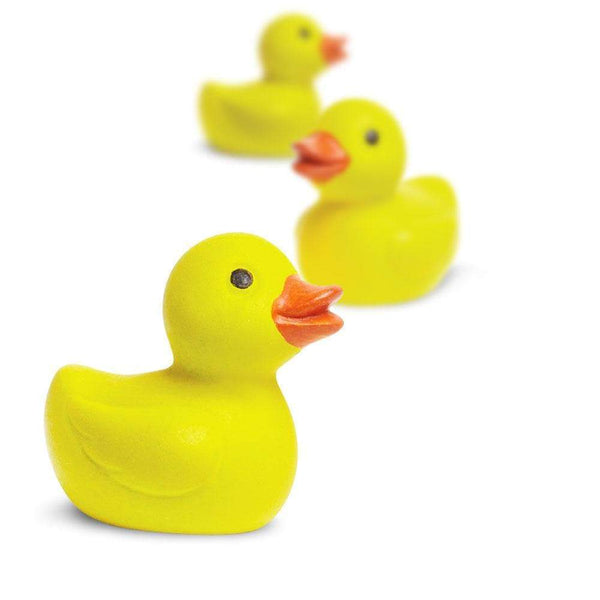 Good Luck Mini: Ducks - Ages 5+