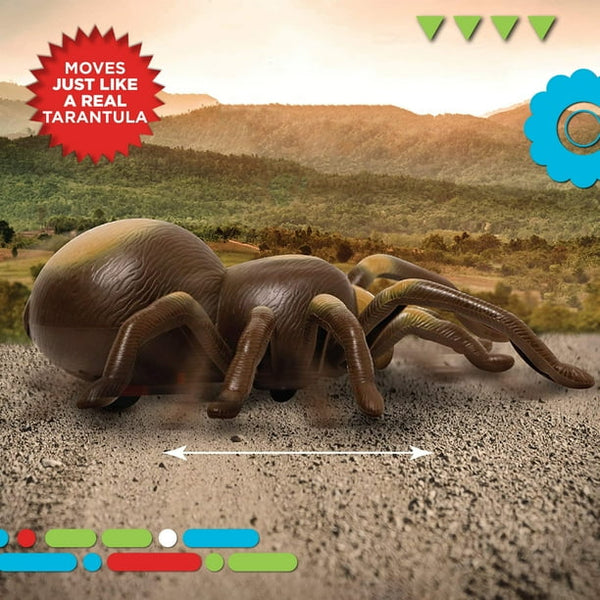 Discovery R/C Tarantula - Ages 6+