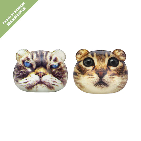 KL: Feline Fine! Stress Balls - Ages 3+