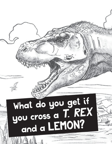 AB: National Geographic Just Jokes 591 1/2 - Ages 8-12