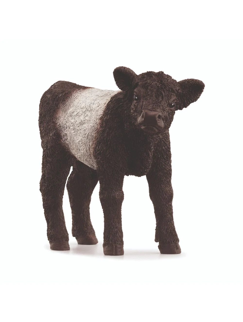 Schleich: Galloway Calf - Ages 3+