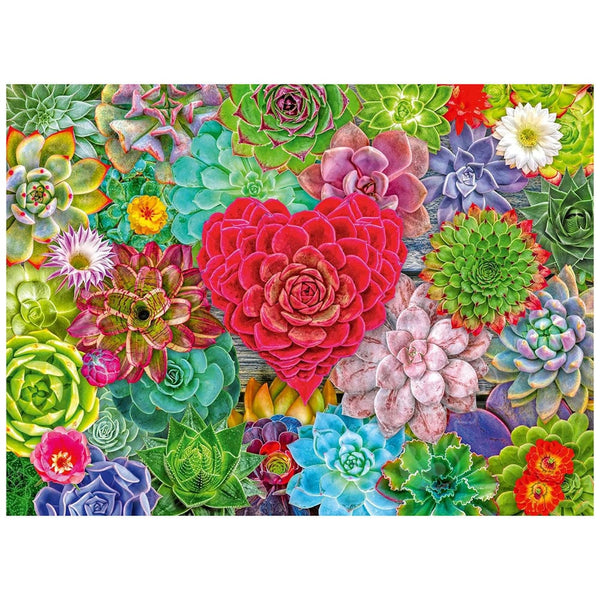 500 Piece Puzzle: Succulent Love - Ages 12+