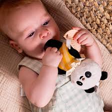 Taf Toys: Pamela Activity Toy - Ages 0mths+