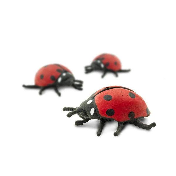 Good Luck Mini: Ladybug - Ages 5+