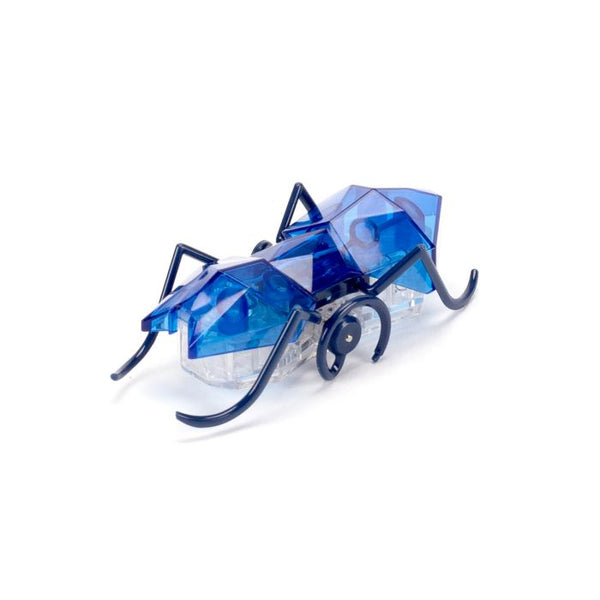 HexBots: Micro Ant Single Assorted- Ages 3+