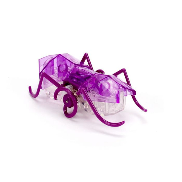 HexBots: Micro Ant Single Assorted- Ages 3+