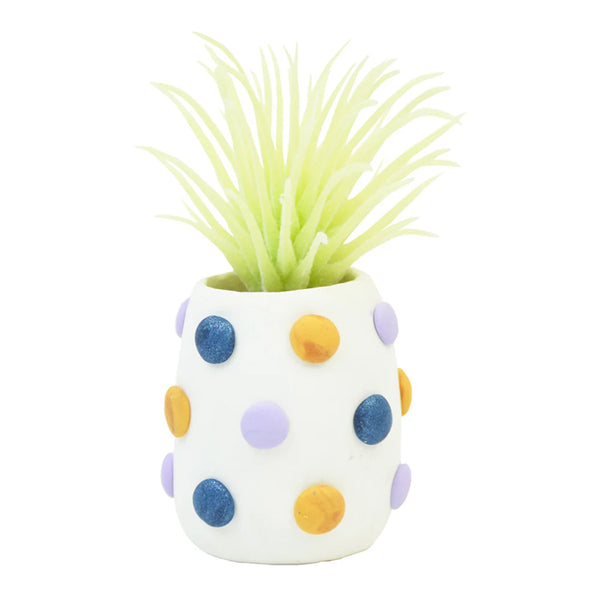 Sculpey Bake Shop: Succulent Pots - Ages 8+