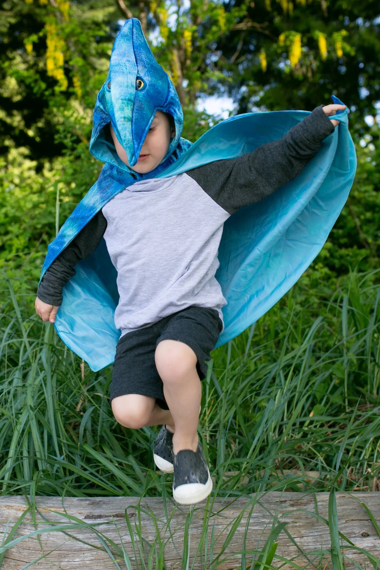 Pterodactyl Hooded Cape, Blue