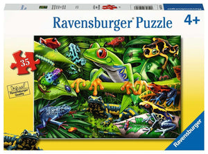 35 Piece Puzzle: Amazing Amphibians - Age 4+