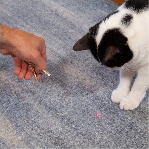 KL: Rechargeable Laser Pointer - Ages 5+