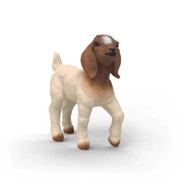 Schleich: Boer Goat Kid