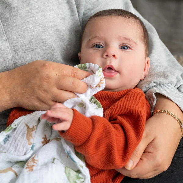 Aden + Anais: Essentials Cotton Muslin Swaddles 4 Pack: Dino Jungle - Ages 0+