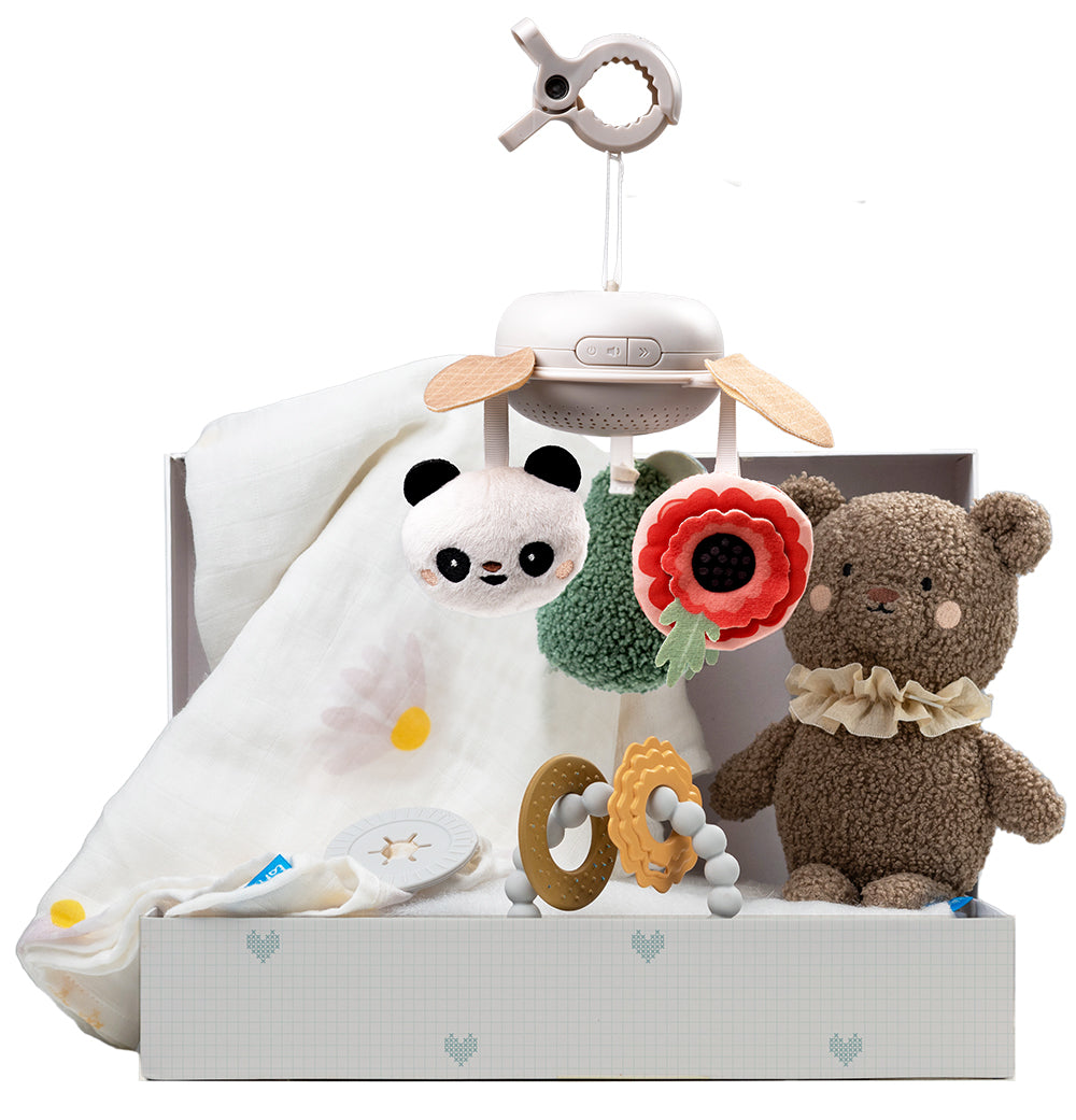 Taf Toys: Luxury Newborn Kit - Ages 0+