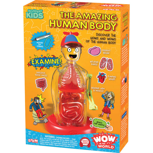 TK: The Amazing Human Body - Ages 4+