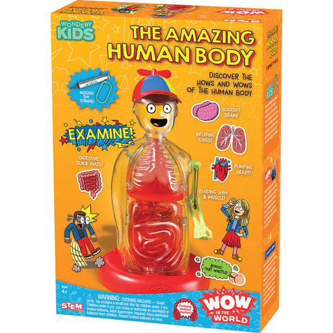 TK: The Amazing Human Body - Ages 4+
